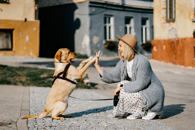 Why Is Your Dog Calm Around You But Not Others